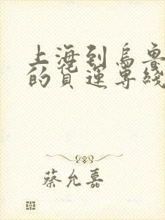 上海到乌鲁木齐的货运专线封面