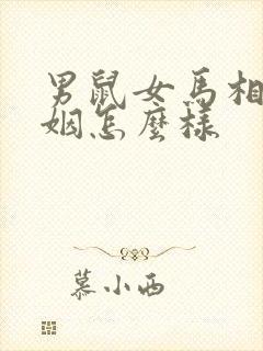 男鼠女马相配婚姻怎么样封面