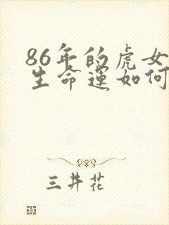 86年的虎女一生命运如何封面