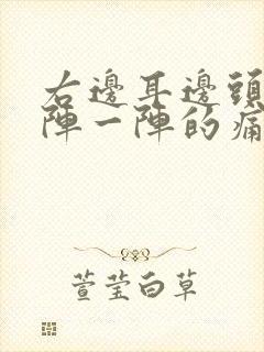 右边耳边头部一阵一阵的痛