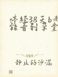 停经38天b超能看到孕囊吗