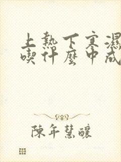 上热下寒湿热重吃什么中成药封面