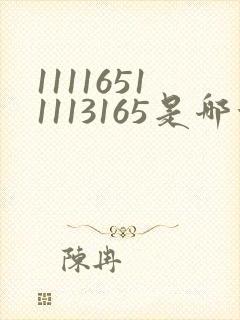 11116511113165是哪首歌的简谱