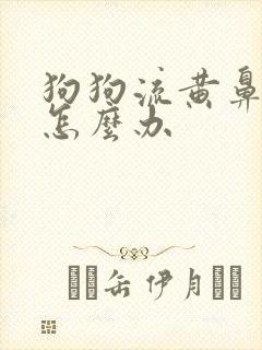 狗狗流黄鼻涕了怎么办