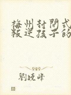 梅州封闭式管理叛逆孩子的学校哪家好封面