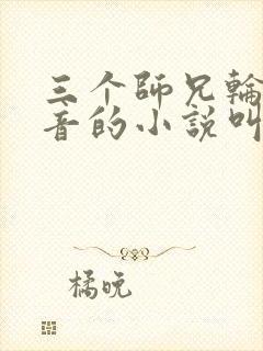 三个师兄轮流上音的小说叫什么封面