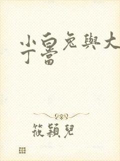 小白兔与大灰狼丁当