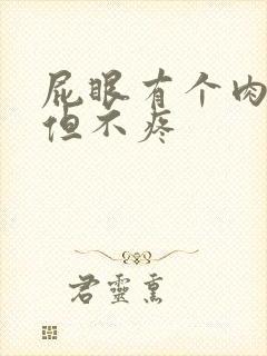 屁眼有个肉疙瘩但不疼