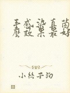 手感染真菌用什么效果最好封面