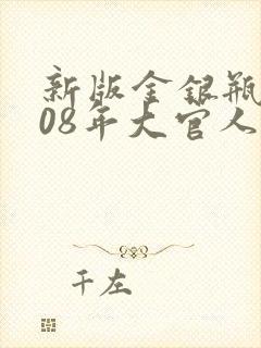 新版金银瓶2008年大官人