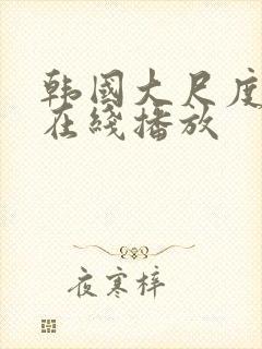 韩国大尺度综艺在线播放