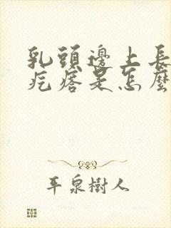 乳头边上长了小疙瘩是怎么回事