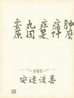 睾丸疼痛肿大的原因是什么封面