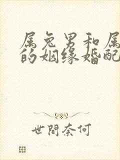 属兔男和属龙女的姻缘婚配