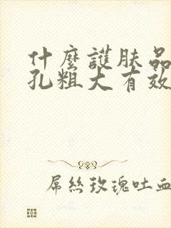 什么护肤品对毛孔粗大有效果