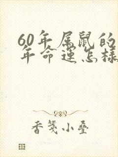 60年属鼠的今年命运怎样