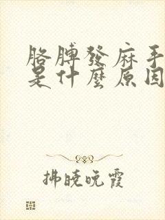 胳膊发麻手发麻是什么原因造成的