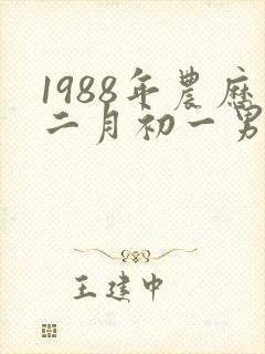 1988年农历二月初一男命封面