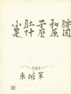 小肚子和腰胀疼是什么原因封面