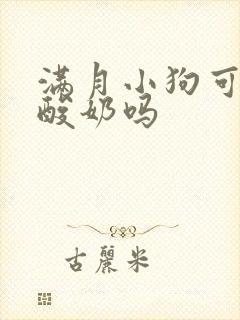 满月小狗可以喝酸奶吗