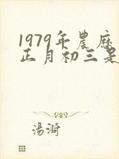 1979年农历正月初三是什么命