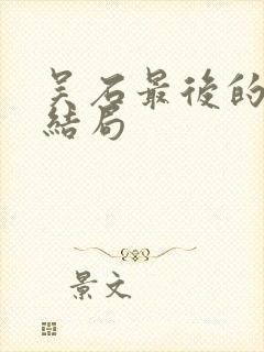 吴石最后的儿女结局封面