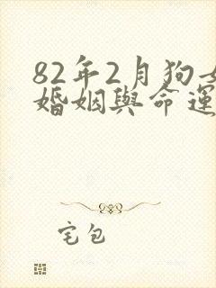 82年2月狗女婚姻与命运封面