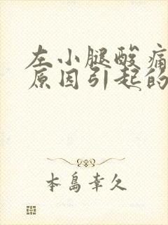 左小腿酸痛什么原因引起的