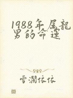 1988年属龙男的命运封面
