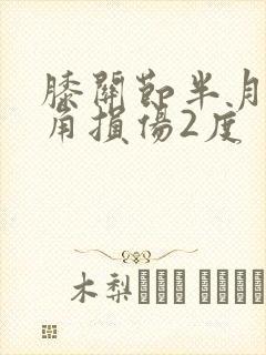 膝关节半月板前角损伤2度