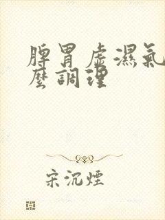 脾胃虚湿气重怎么调理