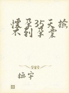 怀孕35天检查不到孕囊封面