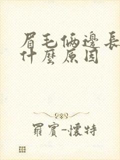 眉毛俩边长痘痘什么原因封面