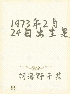 1973年2月24日出生是什么命