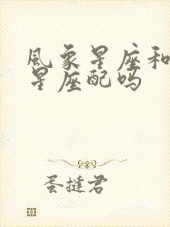 风象星座和风向星座配吗