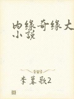 内缘奇缘大团圆小说