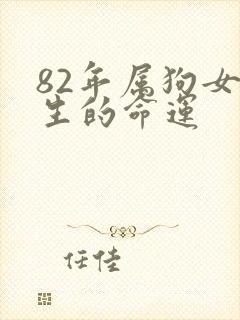 82年属狗女一生的命运封面