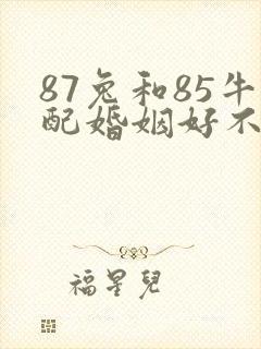87兔和85牛配婚姻好不好