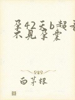 孕42天b超看不见孕囊