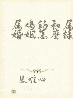 属鸡的和属狗的婚姻怎么样