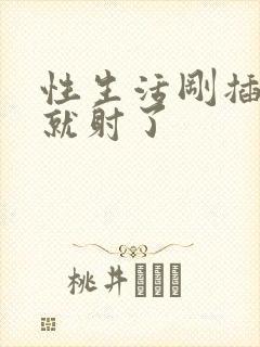 性生活刚插一会就射了