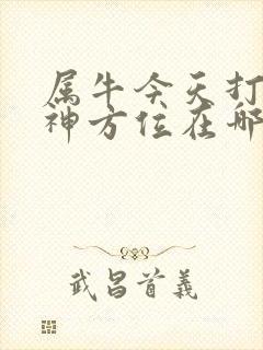 属牛今天打牌财神方位在哪方