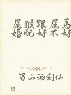 属猴跟属马的人婚配好不好