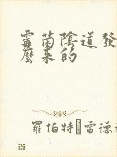 霉菌阴道发炎怎么来的封面