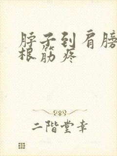 脖子到肩膀的一根筋疼