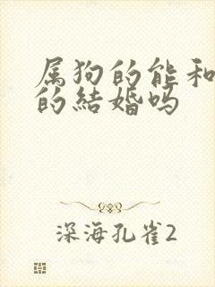 属狗的能和属虎的结婚吗