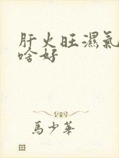 肝火旺湿气重吃啥好