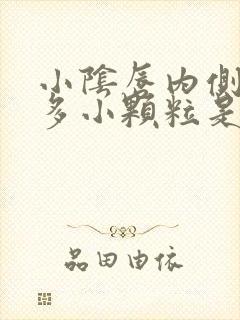 小阴唇内侧长很多小颗粒是怎么回事