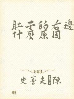 肚子的右边疼是什么原因封面