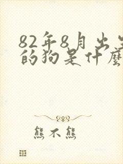 82年8月出生的狗是什么命